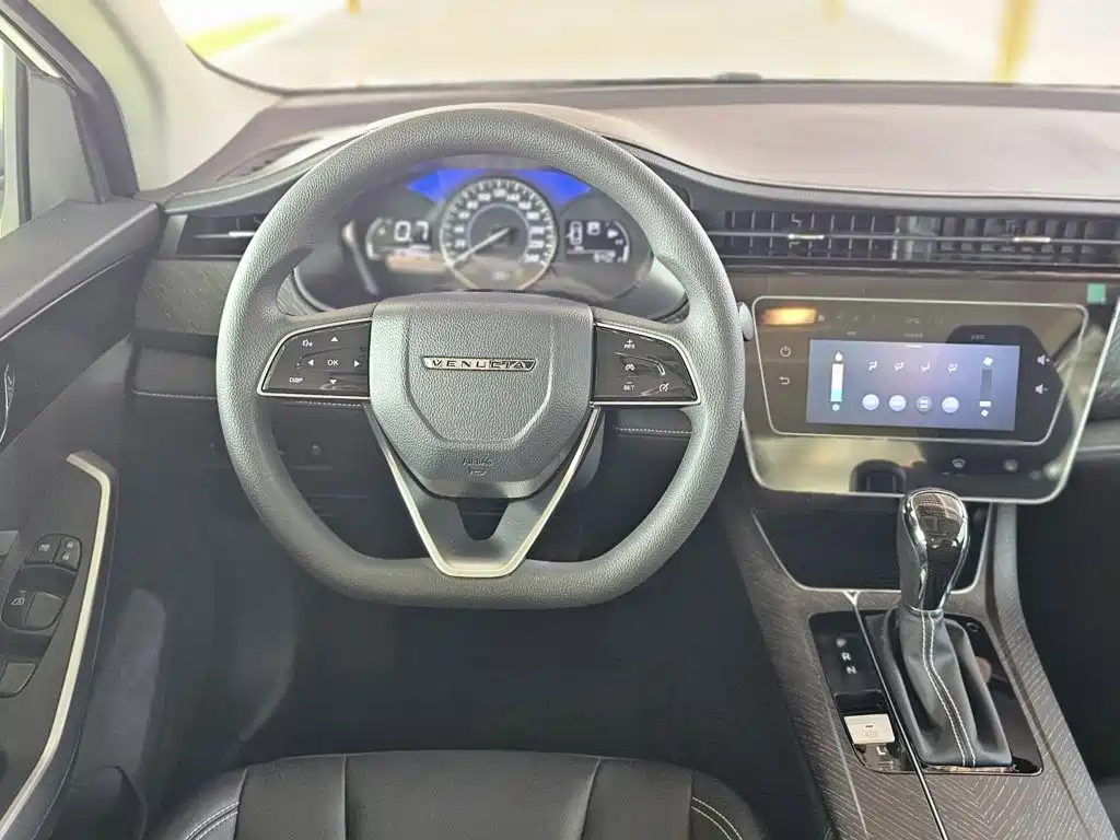 2025 Venucia D60