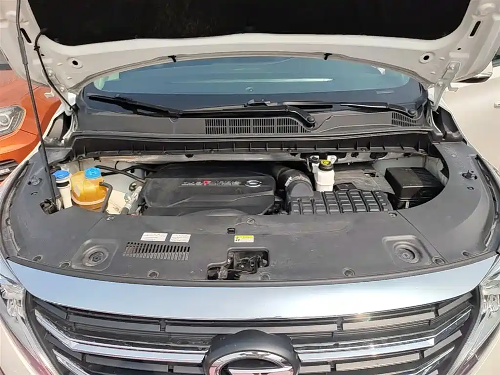 GAC Trumpchi Trumpchi M8 2021 Leading Show Series 390T Prestige Edition фото 20