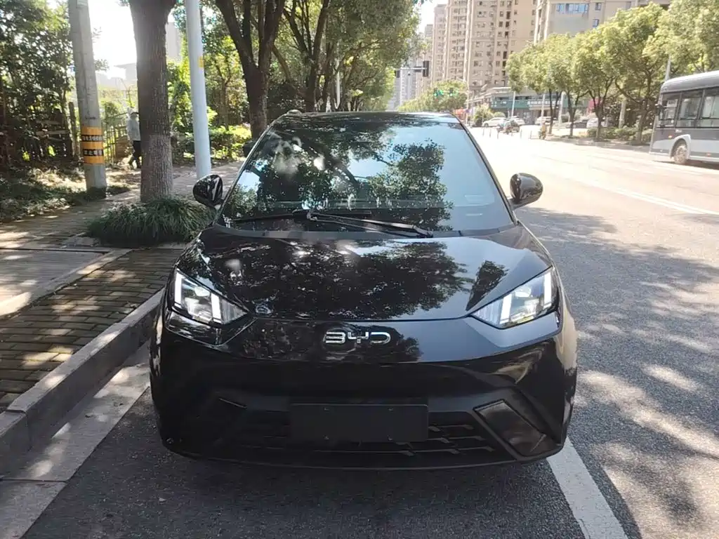 BYD Seagull 2023 2023 Flying Edition