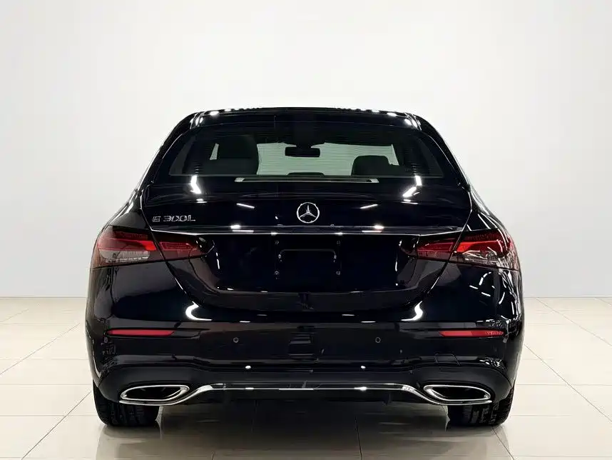 Mercedes-Benz E-Class 2023 E 300 L Sport Luxury фото 8