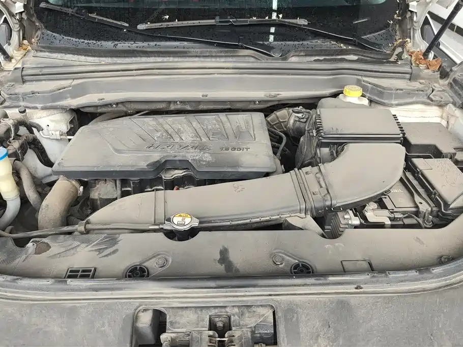 Haval H4 2018 Blue Label 1.5GDIT DCT Trend Edition фото 10