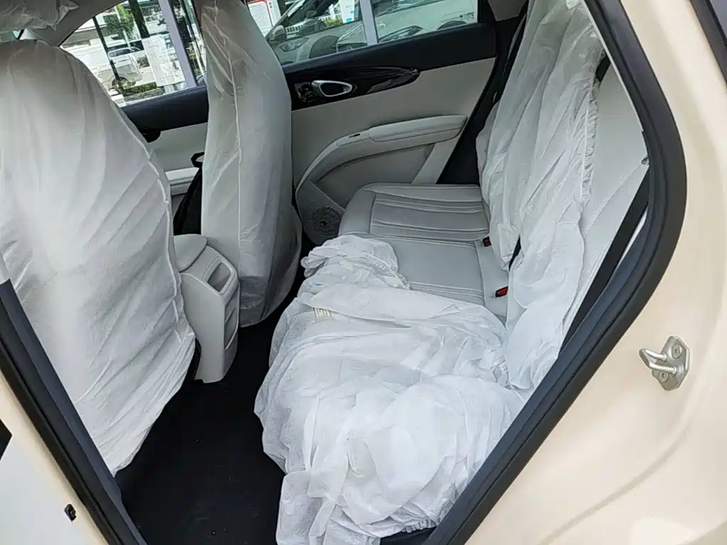 Geely Galaxy Starry Wish 2026 2026 Edition 310km Youth Version