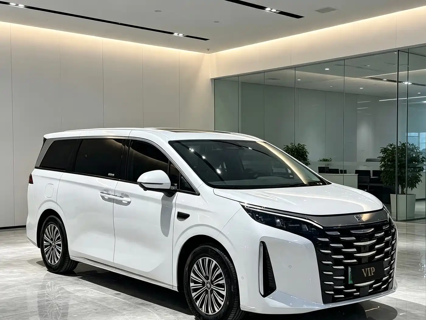 BYD Xia 2025 2025 DM-i 1.5T 180km Excellence