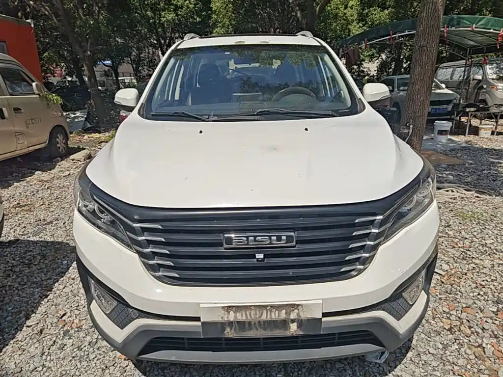 Bisu Auto Bisu T5 2017 2017 1.5T Manual Luxury
