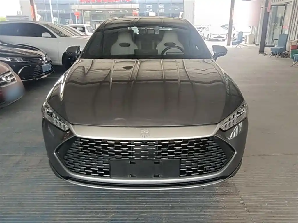 BYD Qin PLUS 2023 Champion Edition DM-i 120KM Excellence фото 3
