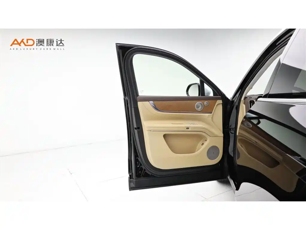 AITO Wenjie AITO M9 2025 Extended Range Max 52kWh 6-Seater фото 11
