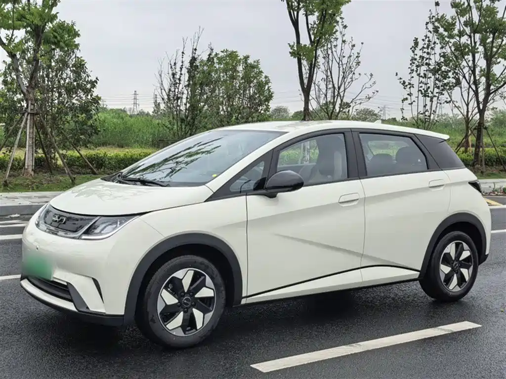 BYD Dolphin 2025 420km Freedom Edition