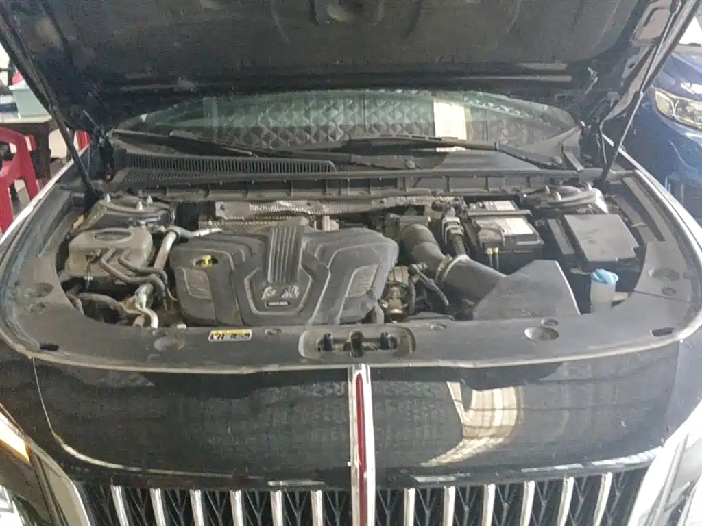 Hongqi H5 2024 2.0T Automatic Smart Connect Flag Smooth Edition фото 20