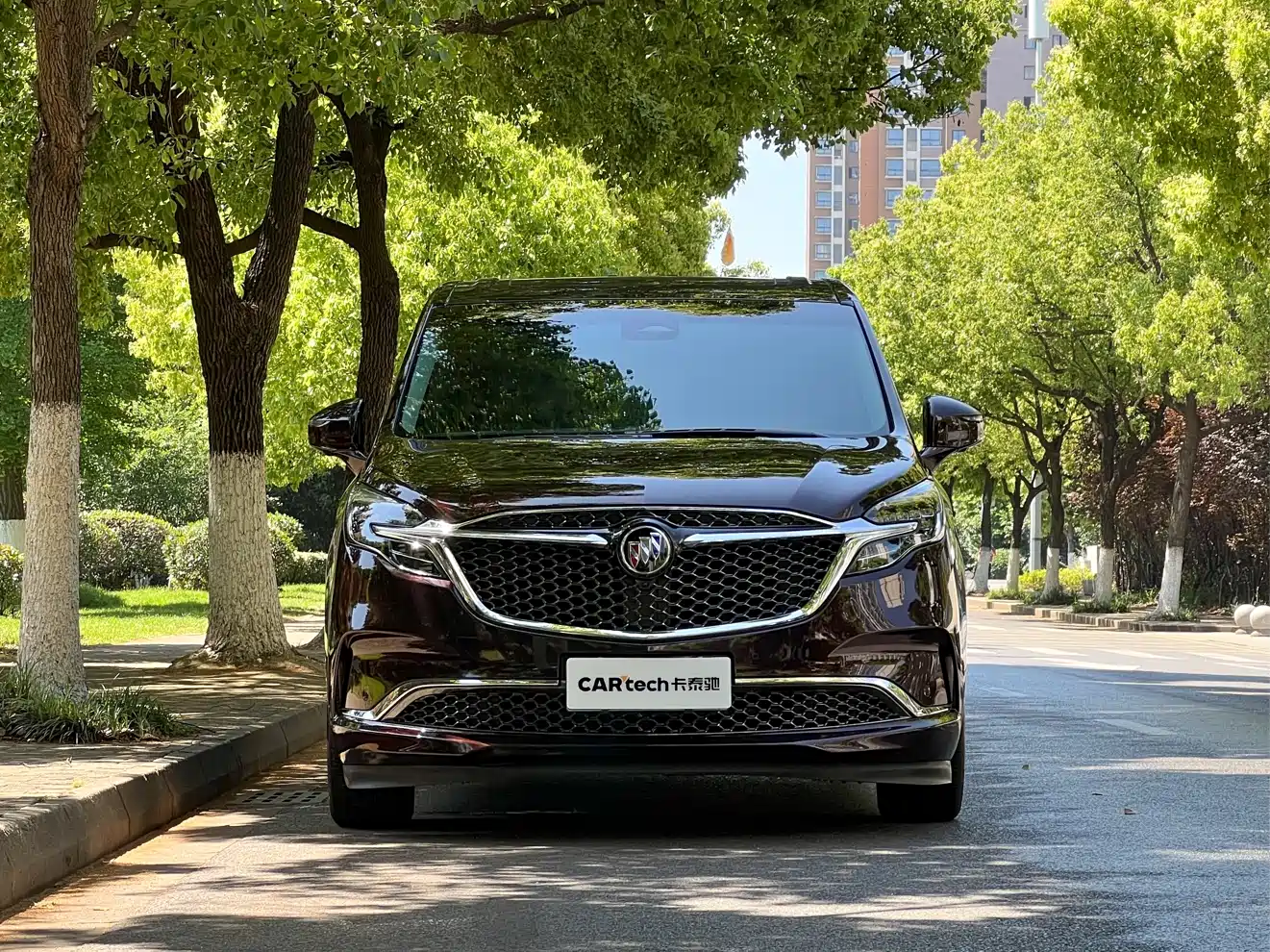 Buick GL8 2022 Avenir Avia 6-Seater Virtue Edition фото 2
