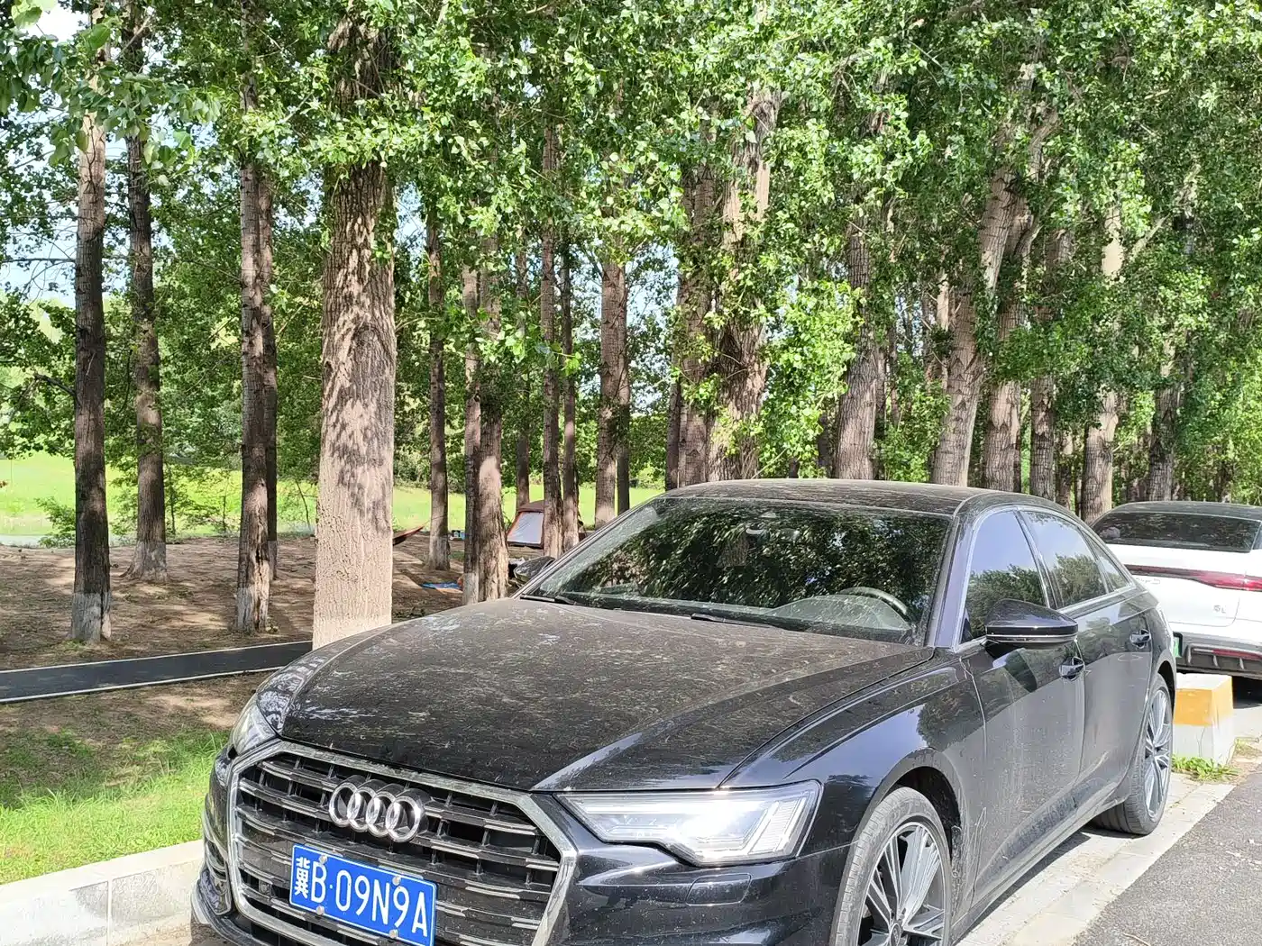 Audi A6L 2023 40 TFSI Luxury Elegance