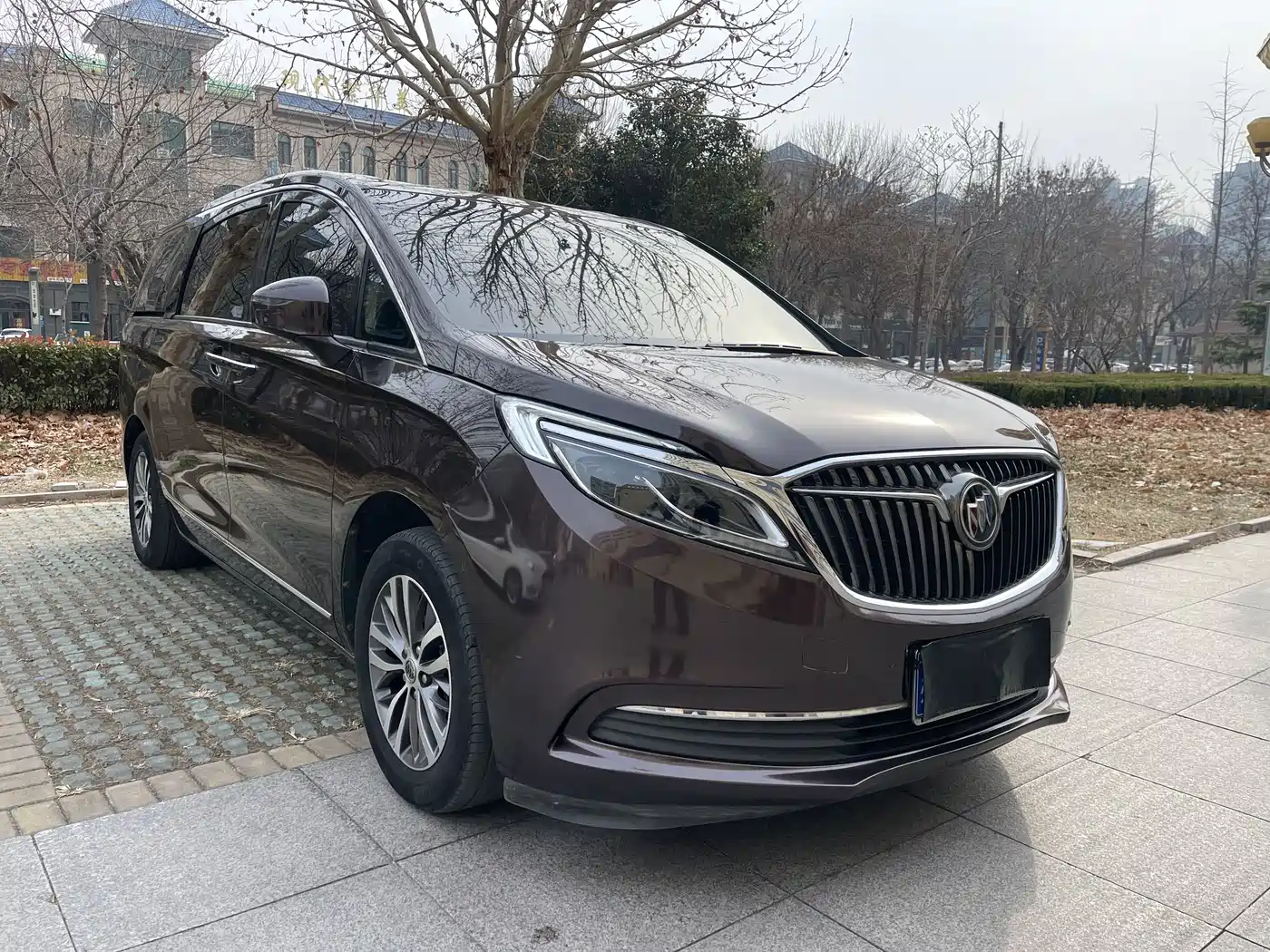 Buick GL8 2017 ES 28T Flagship China V фото 3