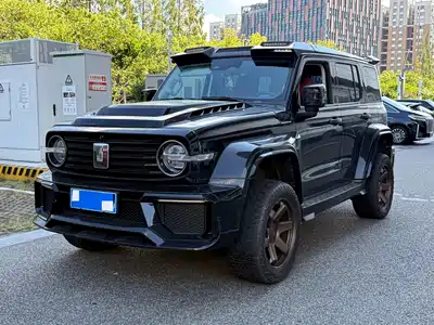 Tank 300