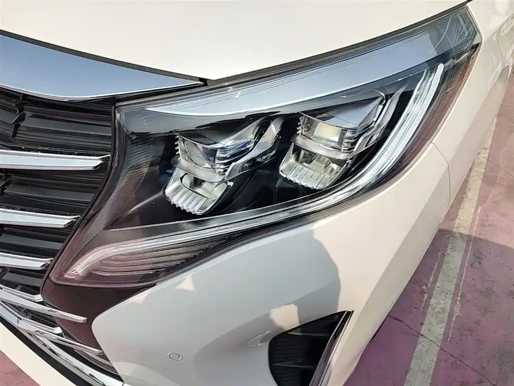 GAC Trumpchi Trumpchi M8 2021 Leading Show Series 390T Prestige Edition фото 24