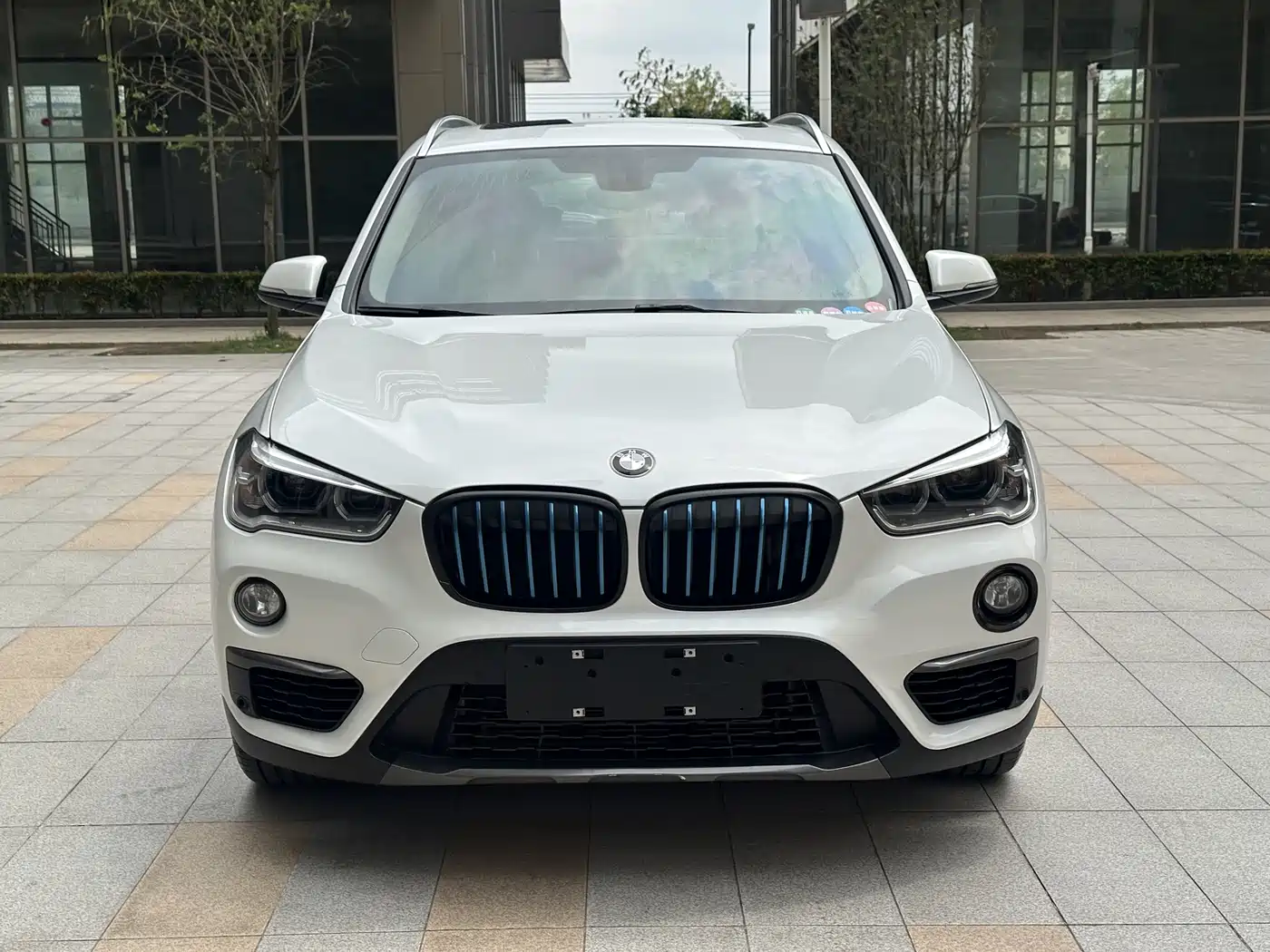 BMW X1 New Energy 2019 xDrive25Le Range Upgrade Edition фото 3