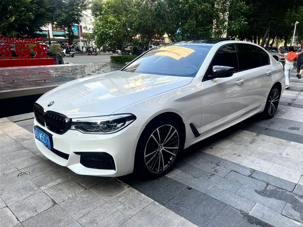 BMW 5 Series 2020 530Li Exclusive M Sport Package