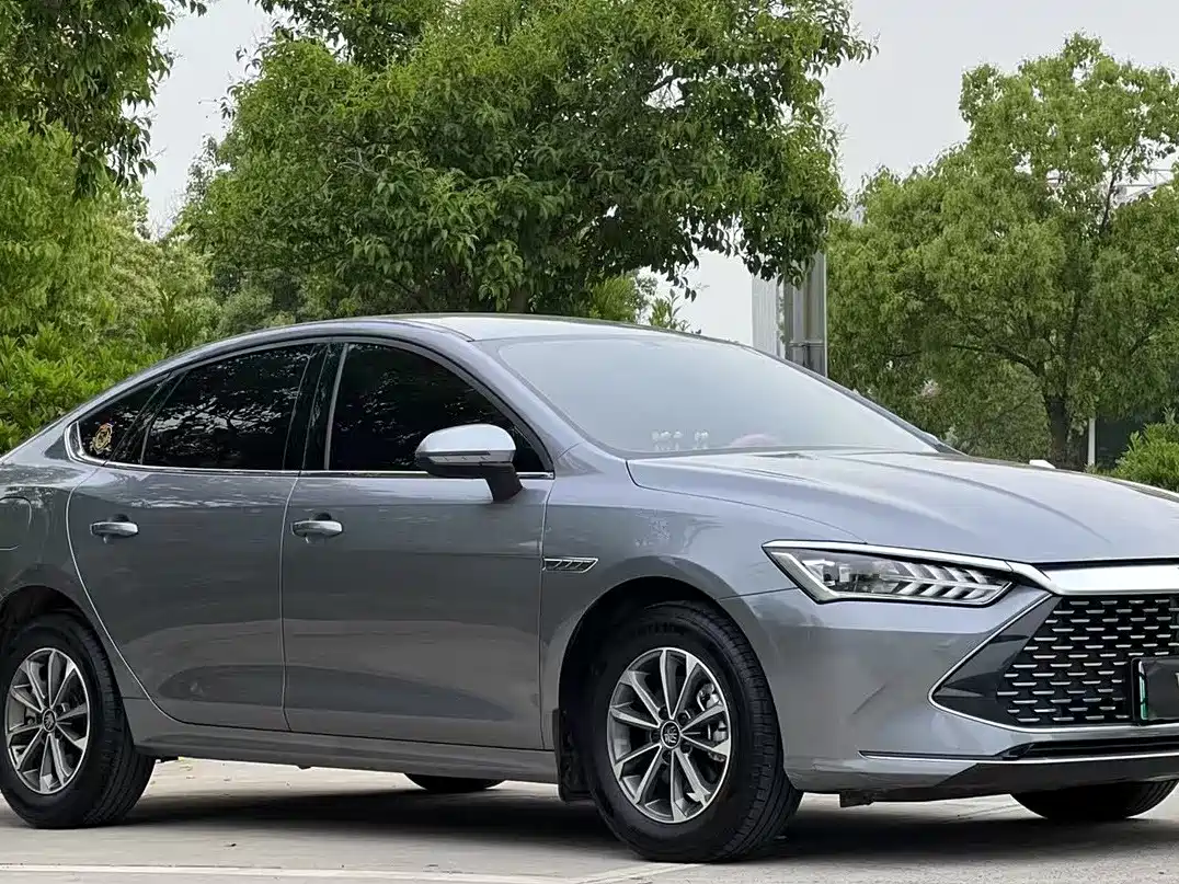 BYD Qin PLUS 2024 Glory Edition DM-i 55KM Leading фото 3