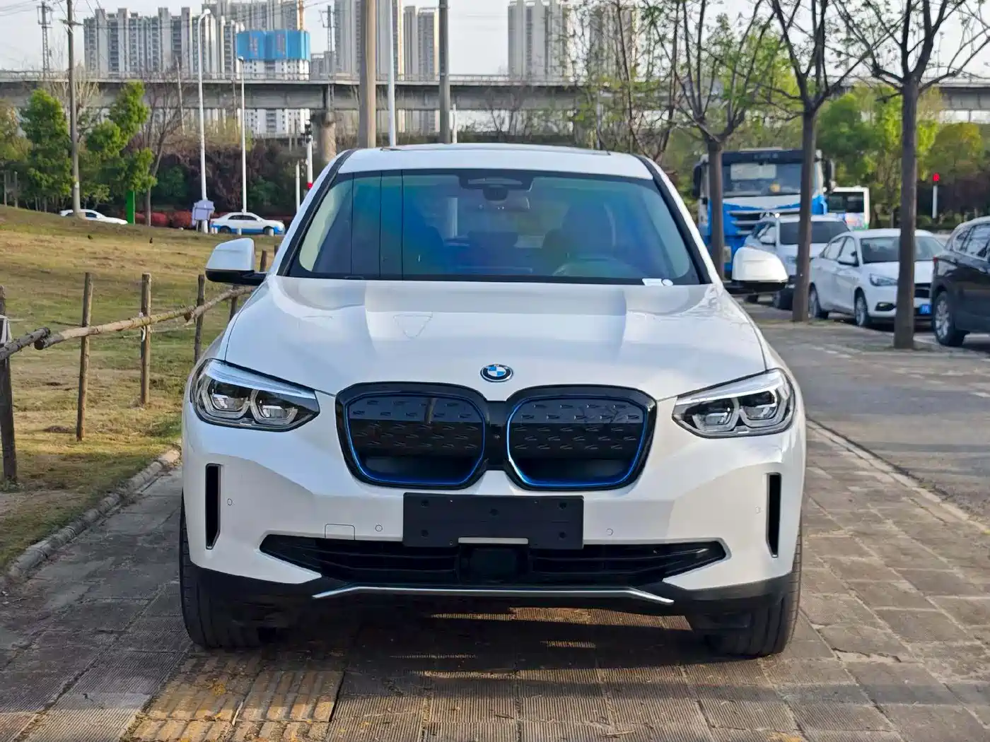 BMW iX3 2021 Pioneer фото 2