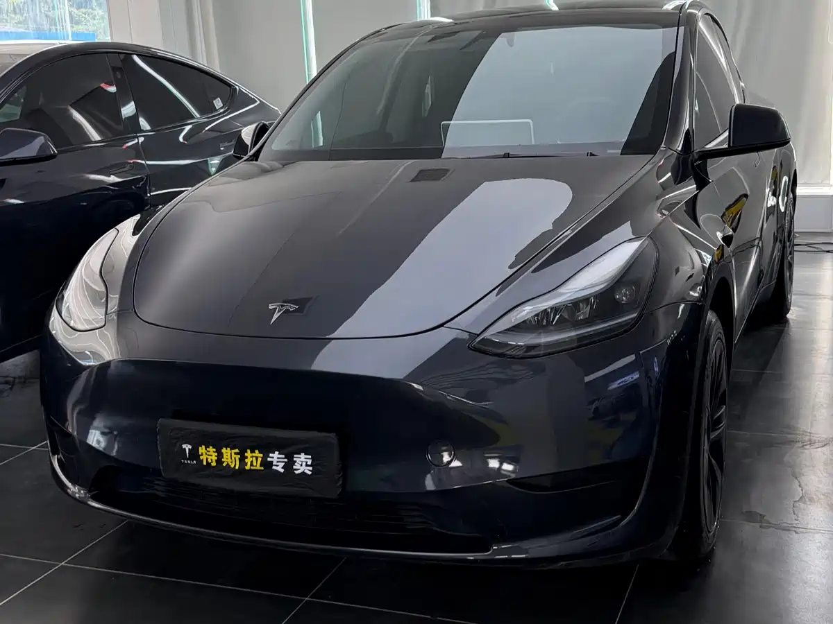 Tesla Model Y 2024 Rear-Wheel Drive Version
