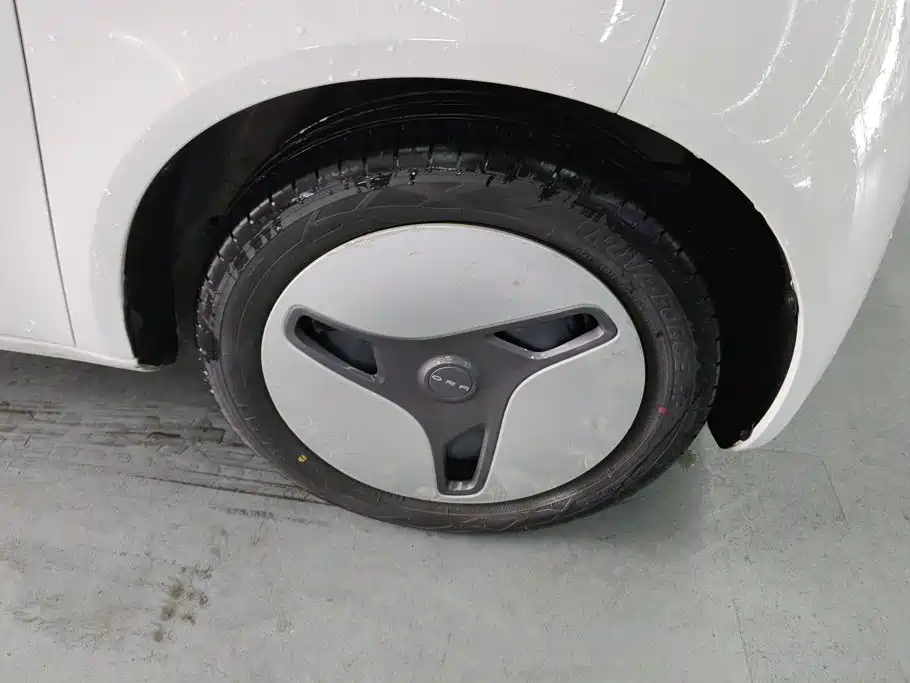 Ora White Cat 2020 2020 360km Standard Model