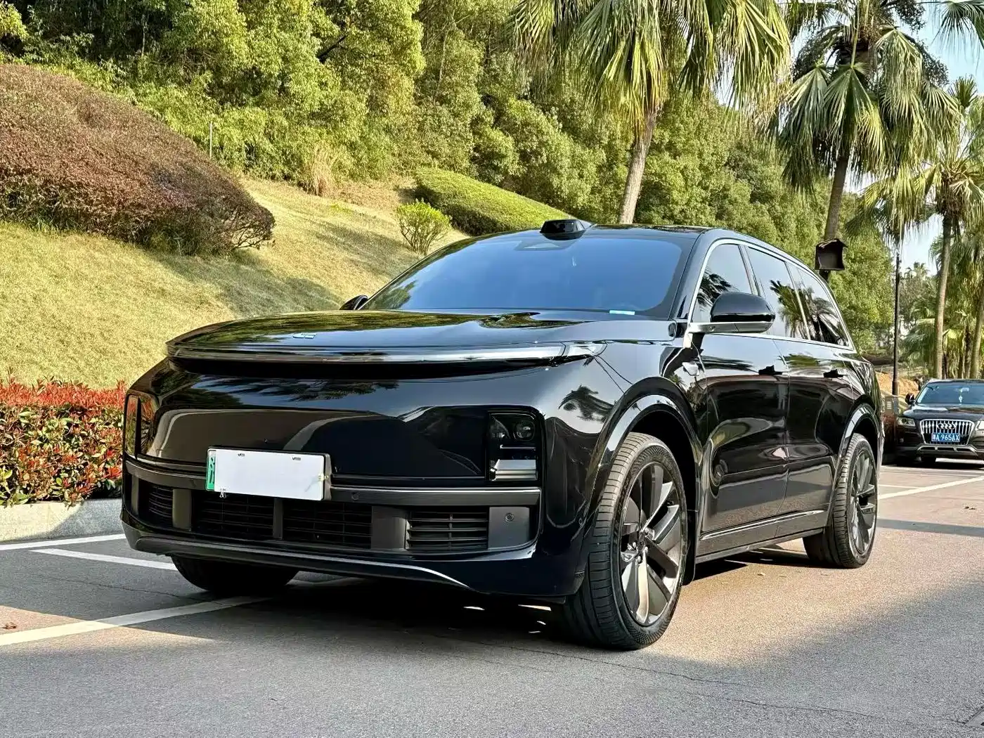 Li Auto IDEAL L9