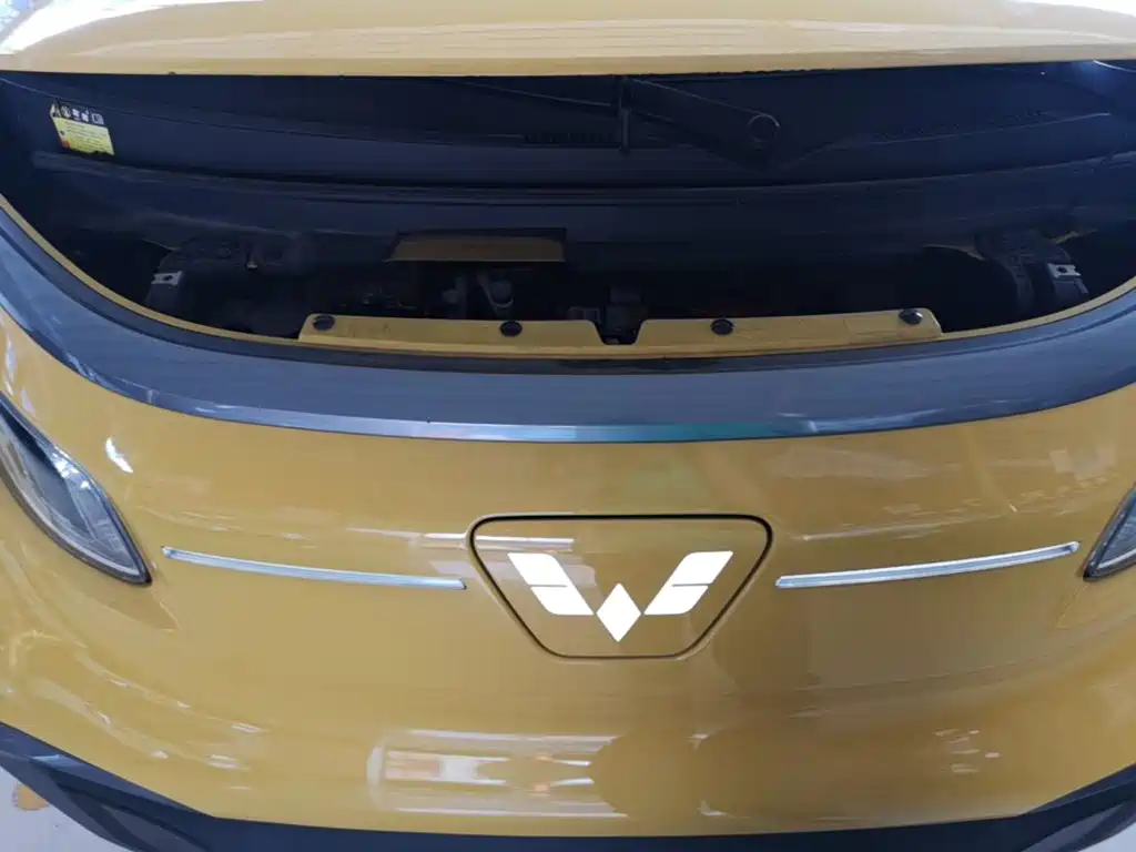 Wuling Motors Wuling NanoEV 2021 2021 Fun Edition