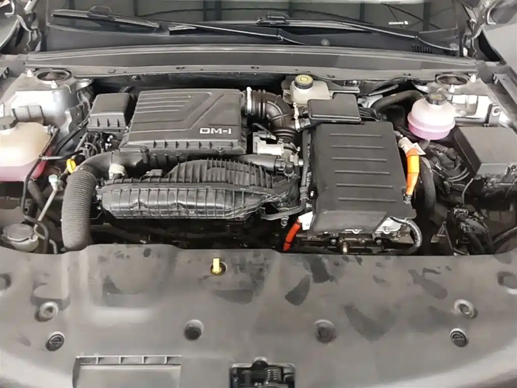 BYD Qin PLUS 2023 Champion Edition DM-i 120KM Excellence фото 20
