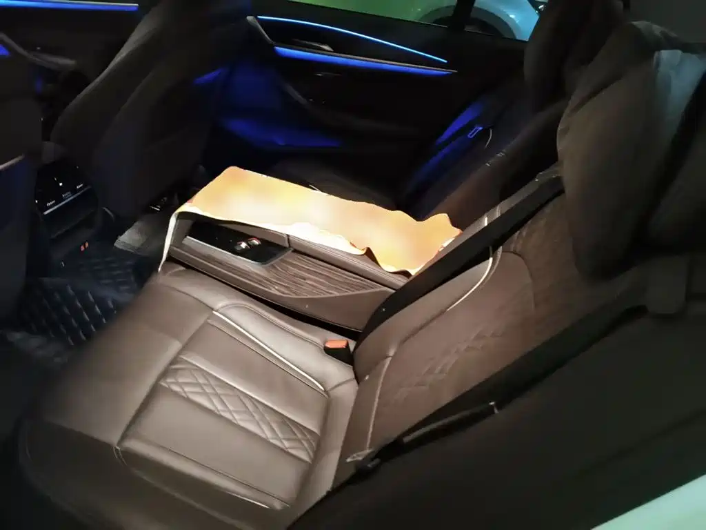 BMW 5 Series New Energy 2020 530Le Range Upgrade Luxury Package фото 18