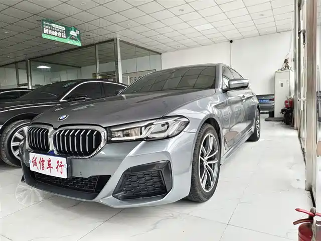 BMW 5 SERIES