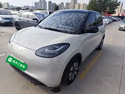 Wuling Bingo