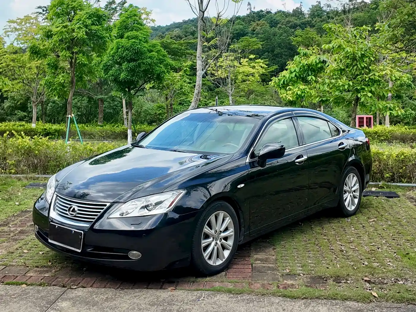 Lexus ES 2010 350 Luxury Edition
