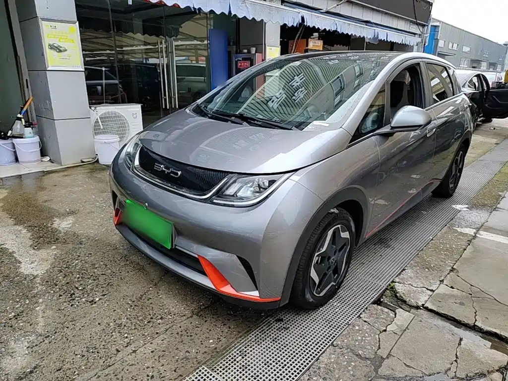 BYD Dolphin 2021