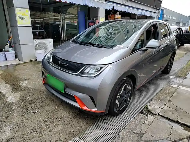 BYD Dolphin 2022