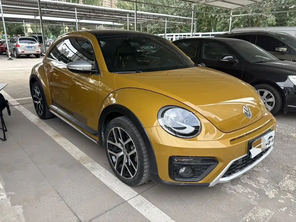 Фото 6 - Volkswagen Beetle