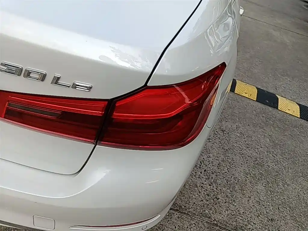 BMW 5 Series New Energy 2020 530Le Luxury Package фото 8
