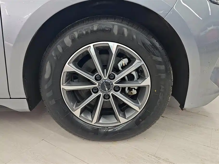 BYD Destroyer 05 2024 Glory Edition DM-i 55KM Luxury фото 6