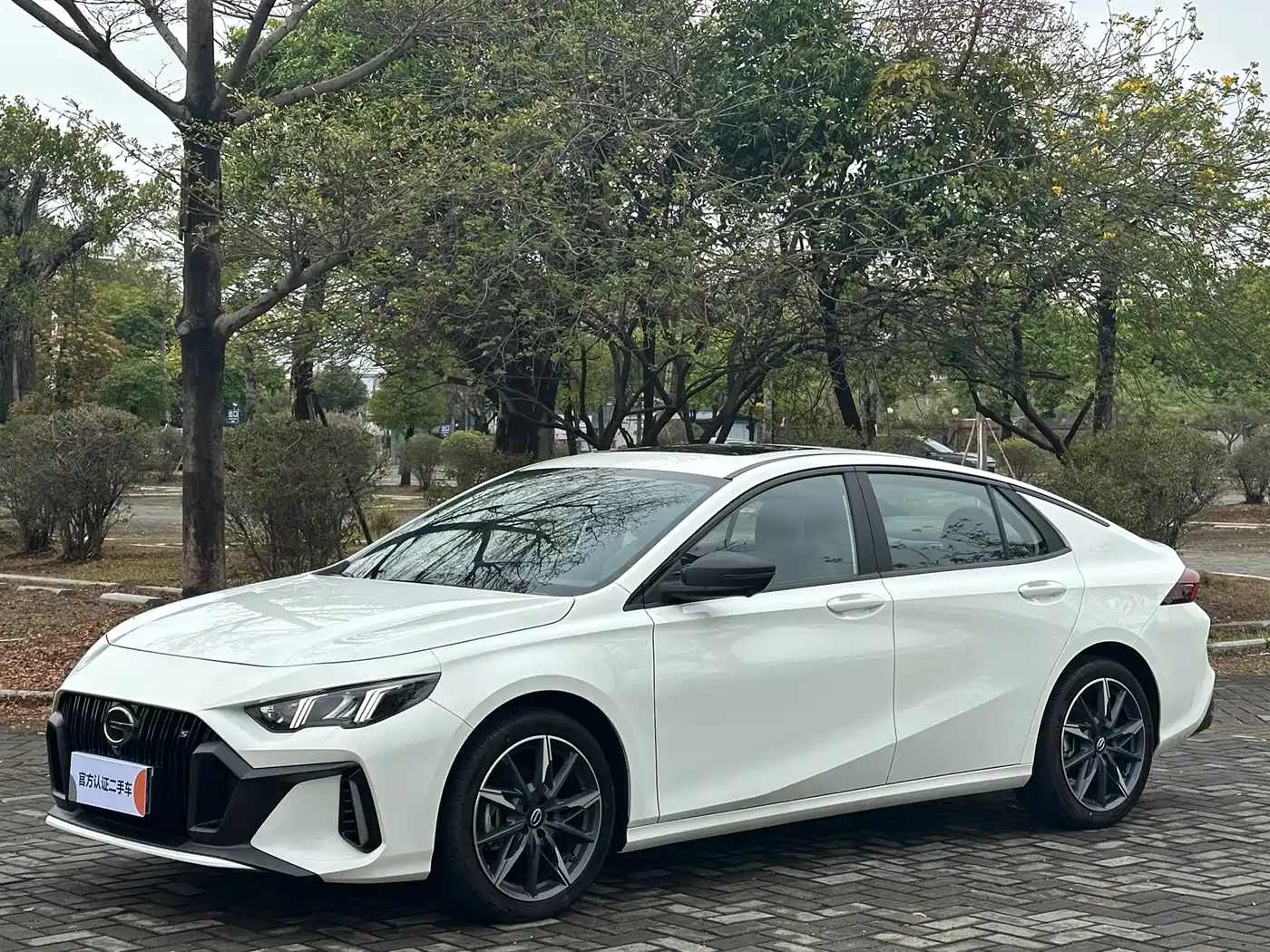 GAC TRUMPCHI SHADOW LEOPARD 2025