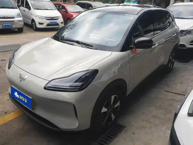 WULING WULING BINGGUO PLUS