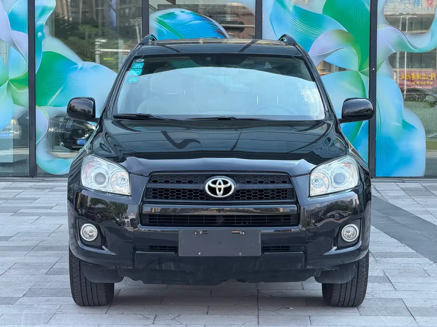 Toyota RAV4 Rongfang 2009 2.0L Automatic Luxury Edition фото 2