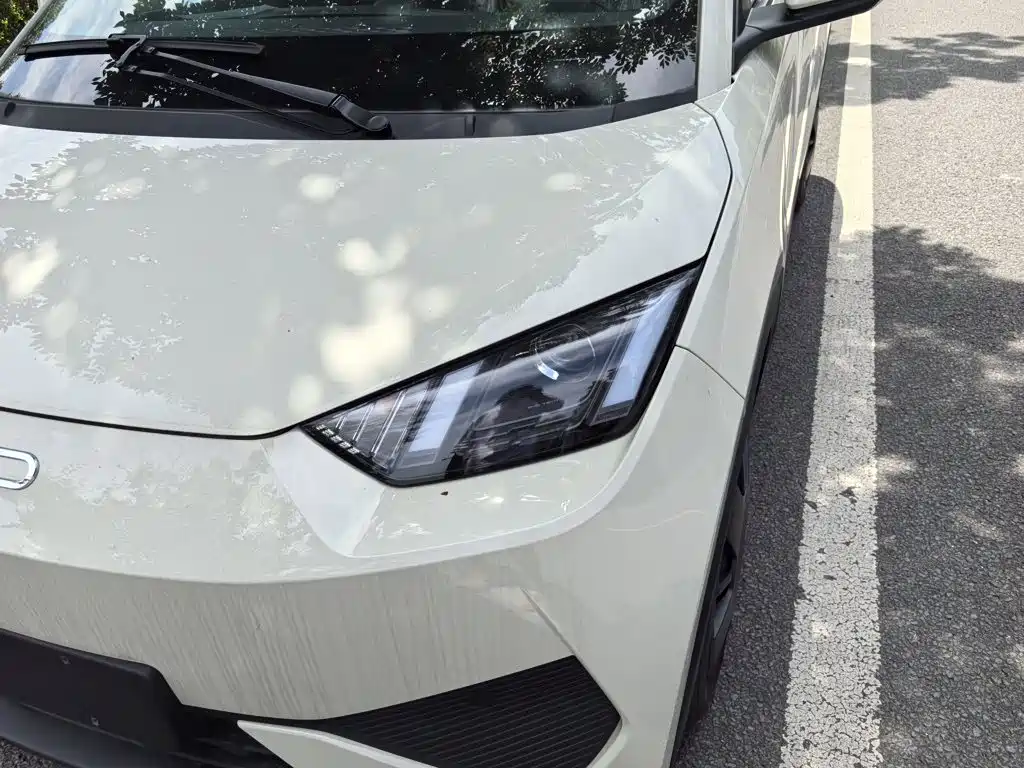 BYD Seagull 2026 2025 Smart Drive Edition 305km Vitality Version