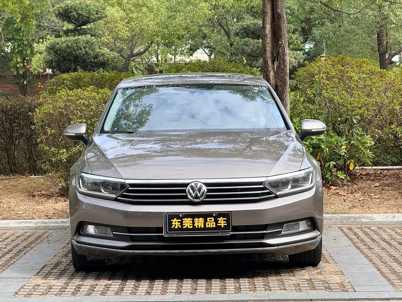 Volkswagen Magotan 2017 330TSI DSG Luxury фото 2