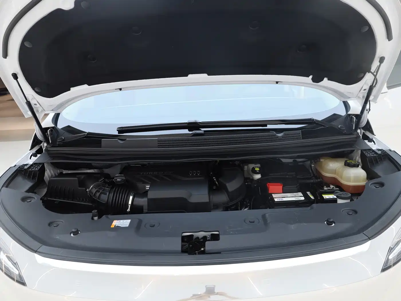 Buick Century 2025 2025 2.0T 7-Seater World Edition