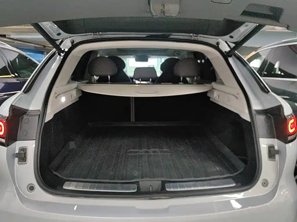 Leapmotor C11 2022 2021 Luxury Edition