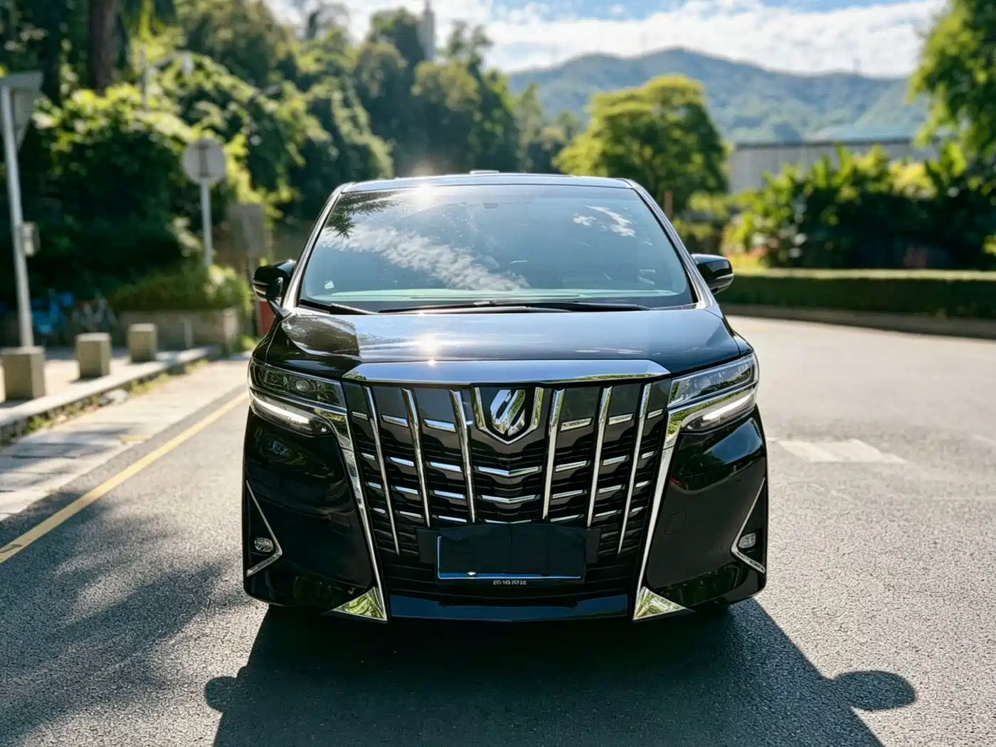 Toyota Alphard 2018 Facelift 3.5L Premium Edition фото 3