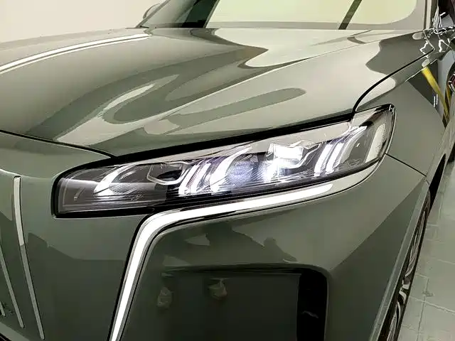 Photo 19 - Hongqi HS6 PHEV