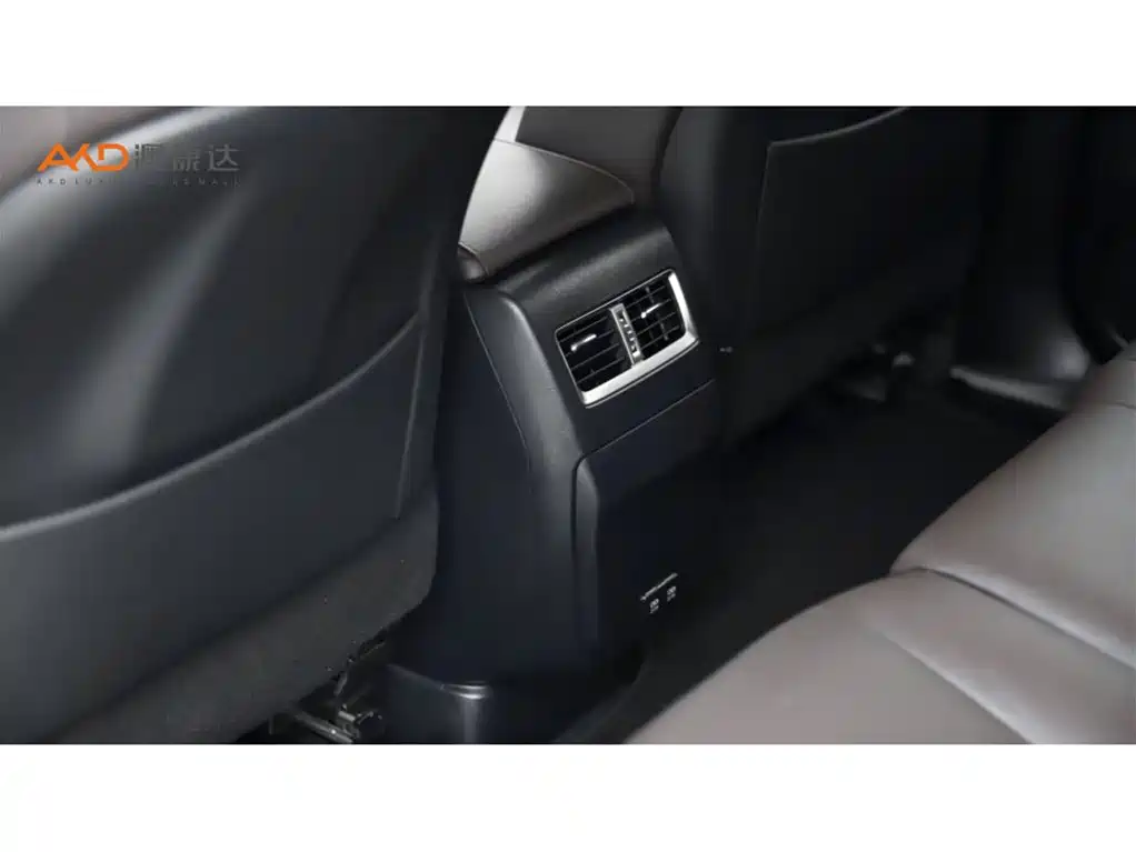 Lexus RX 2020 450h 4WD Elegance Edition China VI фото 9