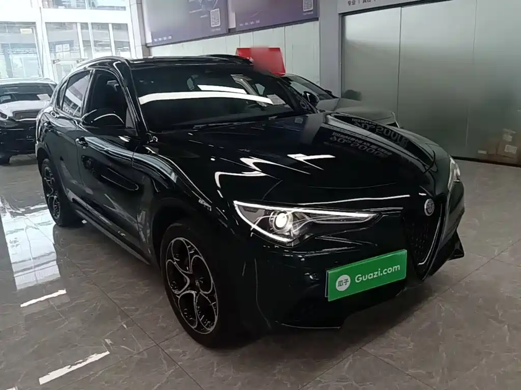 Alfa Romeo Stelvio 2021 2020 2.0T 280HP Luxury Edition