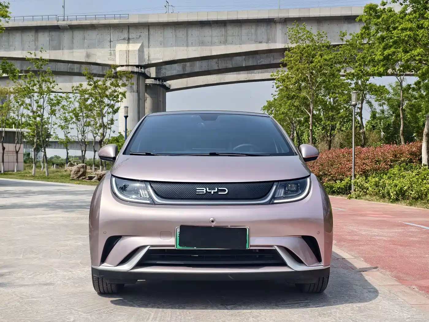 BYD Dolphin 2025 420km Fashion Edition фото 2
