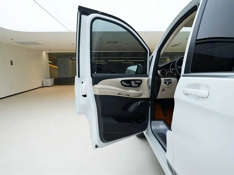 Mercedes-Benz V-Class 2020 Model V 260 L Long Wheelbase Luxury фото 16