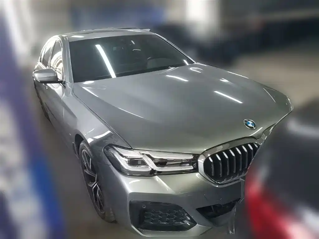 BMW 5 Series (Import) 2022 Facelift 530i M Sport Package фото 7