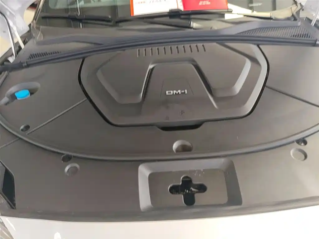 BYD Song PLUS PHEV 2025 DM-i 112KM Premium фото 20